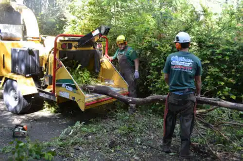 tree services Rock Island